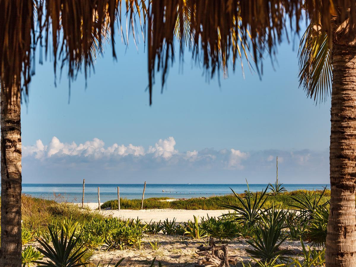 Villas Hm Palapas Del Mar Isla Holbox Екстер'єр фото